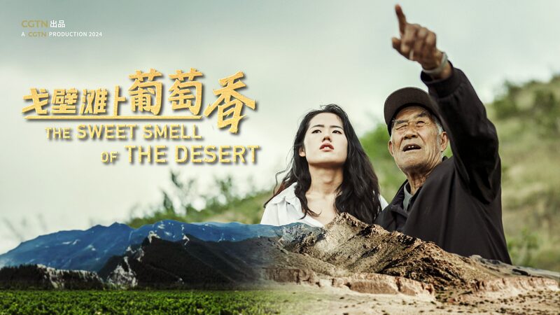 From_Desert_to_Vineyard__Ningxia_s_Green_Miracle____poster - 🌍NewspaperAmigo – Your Global News Buddy 🗞️ From_Desert_to_Vineyard__Ningxia_s_Green_Miracle___ video poster