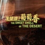 From_Desert_to_Vineyard__Ningxia_s_Wine_Revolution___ video poster