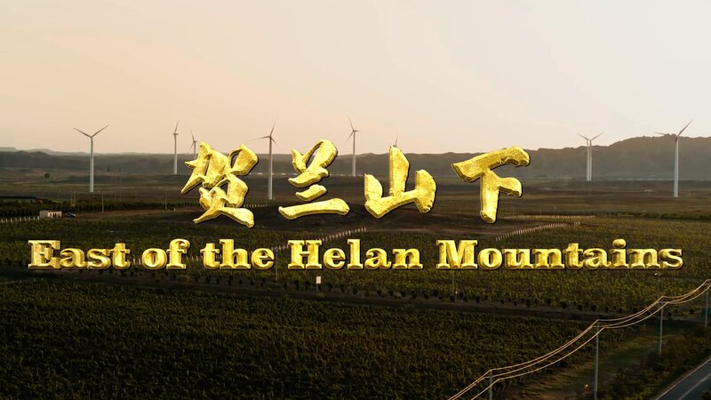 __From_Desert_to_Vineyard__Ningxia_s_Wine_Revolution_ video poster