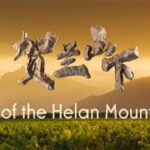 From_Desert_to_Vineyards__Ningxia_s_Green_Revolution___ video poster