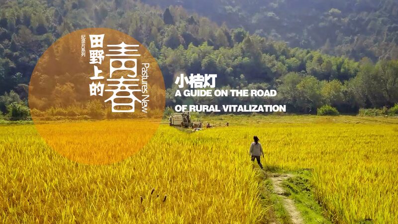 From_Designer_to_Village_Leader__How_Dashi_Transformed_Into_a_Model_of_Rural_Revitalization_____poster - 🌍NewspaperAmigo – Your Global News Buddy 🗞️ From_Designer_to_Village_Leader__How_Dashi_Transformed_Into_a_Model_of_Rural_Revitalization____ video poster