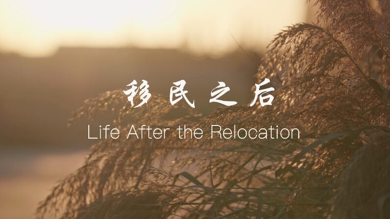 From_Fields_to_Vineyards__Ma_Chengyun_s_Journey_of_Hope____poster - 🌍NewspaperAmigo – Your Global News Buddy 🗞️ From_Fields_to_Vineyards__Ma_Chengyun_s_Journey_of_Hope___ video poster
