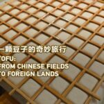 From_Hubei_to_the_World__The_Tofu_Town_Shaking_Up_Global_Cuisine___ video poster