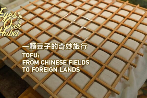 From_Hubei_to_the_World__The_Tofu_Town_Shaking_Up_Global_Cuisine___ video poster
