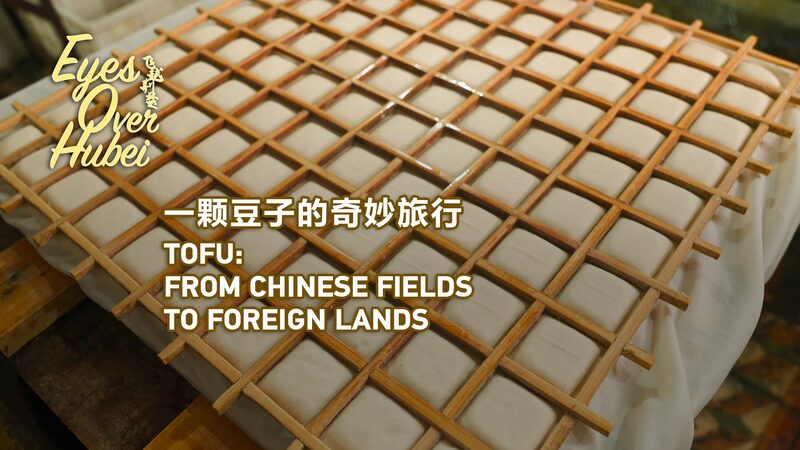 From_Hubei_to_the_World__The_Tofu_Town_Shaking_Up_Global_Cuisine____poster - 🌍NewspaperAmigo – Your Global News Buddy 🗞️ From_Hubei_to_the_World__The_Tofu_Town_Shaking_Up_Global_Cuisine___ video poster