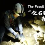 From_Ice_Climber_to_Fossil_Hunter__Meet_China_s_Adventure_Scientist___ video poster