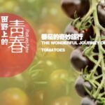 From_PhD_Dropout_to_Tomato_Tech_Hero__How_Xu_Dan_is_Farming_the_Future___ video poster