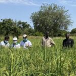 From_Poverty_to_Prosperity__China_s_Blueprint_Empowers_Africa___