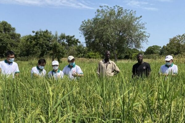 From Poverty to Prosperity: China’s Blueprint Empowers Africa 🌱🤝 From_Poverty_to_Prosperity__China_s_Blueprint_Empowers_Africa___
