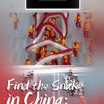 From_Snake_Games_to_National_Security__The_Chinese_Mainland_s_Multifaceted_Evolution___ video poster