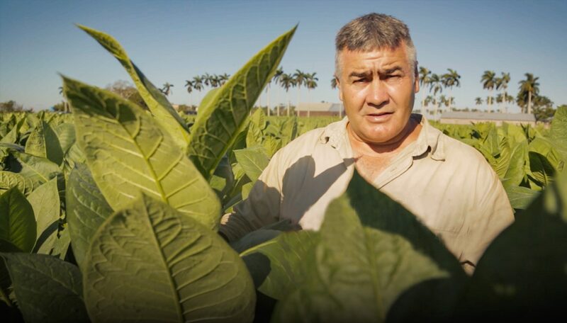 From_Soil_to_Smoke__The_Art_of_Cuban_Cigars___ video poster