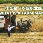 From_University_to_Farm__The_Rise_of_a_Young_Agri_Manager__ video poster
