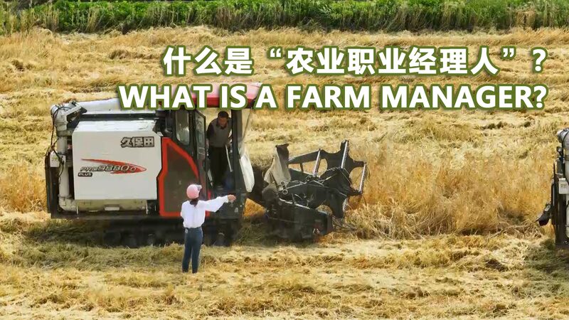 From_University_to_Farm__The_Rise_of_a_Young_Agri_Manager__ video poster