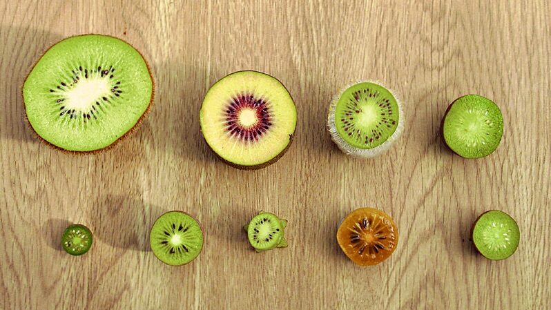 From_the_Chinese_mainland_to_New_Zealand_and_back__The_fruitful_journey_of_kiwi___