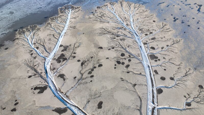 Frozen_Magic__Ice__Trees__Bloom_on_China_s_Qiantang_River____