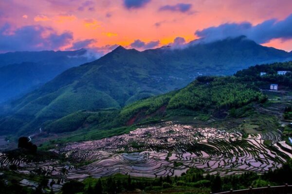 __Fujian__China_s_Coastal_Gem_Blends_History__Nature___Flavor_
