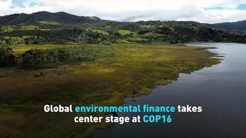 Funding_the_Future__COP16_Puts_Environmental_Finance_in_the_Spotlight___ video poster