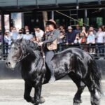 Galloping_Glory__Xinjiang_s_Epic_Horse_Show_Dazzles_Crowds___ video poster