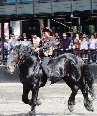 Galloping Glory: Xinjiang’s Epic Horse Show Dazzles Crowds 🌟🐎 Galloping_Glory__Xinjiang_s_Epic_Horse_Show_Dazzles_Crowds___ video poster