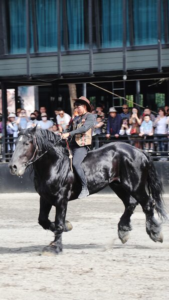 Galloping_Glory__Xinjiang_s_Epic_Horse_Show_Dazzles_Crowds___ video poster