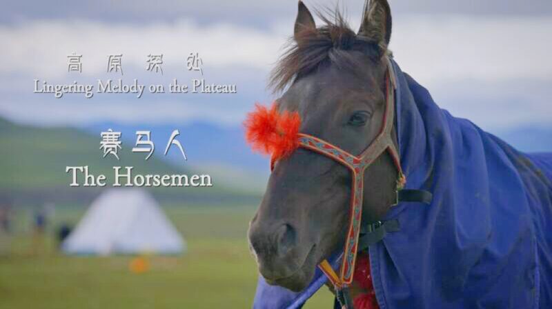 Galloping_Glory__Xizang_s_Epic_Horse_Racing_Festivals____poster - 🌍NewspaperAmigo – Your Global News Buddy 🗞️ Galloping_Glory__Xizang_s_Epic_Horse_Racing_Festivals___ video poster