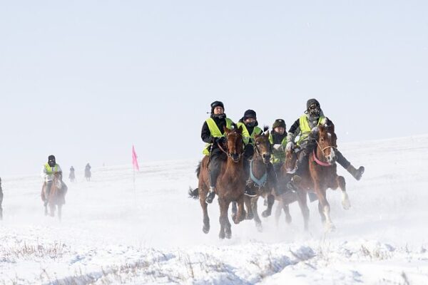 Galloping into Glory: Xinjiang Horse Race Wows Tourists 🏇🌄 Galloping_into_Glory__Xinjiang_Horse_Race_Wows_Tourists___
