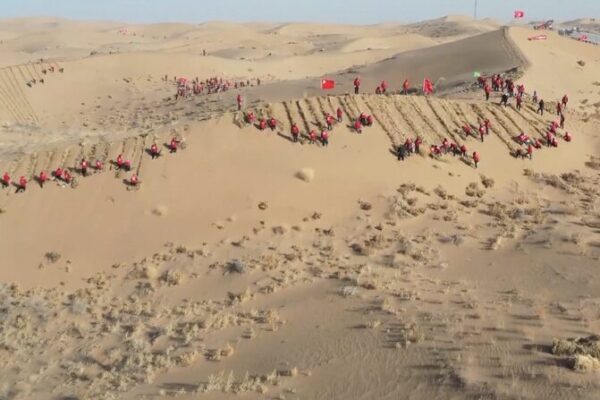 Gansu’s Green Revolution: Planting 190,000 Hectares to Fight Desertification 🌱🏜️ Gansu_s_Green_Revolution__Planting_190_000_Hectares_to_Fight_Desertification____ video poster