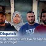 Gaza_Crisis__Canned_Food_Becomes_Lifeline_Amidst_Famine_Fears___ video poster