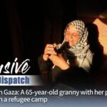 Gaza_Granny_s_Courage__Pets___Hope_in_War_s_Shadow___ video poster