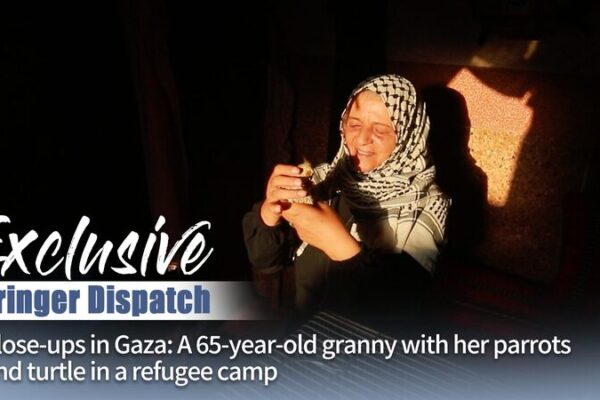 Gaza Granny’s Courage: Pets & Hope in War’s Shadow 🦜🐢 Gaza_Granny_s_Courage__Pets___Hope_in_War_s_Shadow___ video poster