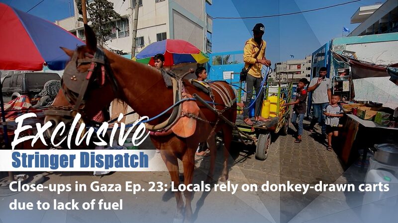 Gaza_s_Donkey_Carts_Replace_Cars_Amid_Fuel_Crisis____poster - 🌍NewspaperAmigo – Your Global News Buddy 🗞️ Gaza_s_Donkey_Carts_Replace_Cars_Amid_Fuel_Crisis___ video poster