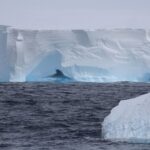 Giant_Iceberg_A23a_s_Epic_Journey_North_Sparks_Climate_Conversations____