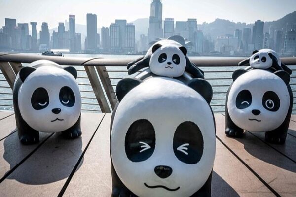 Giant Panda Sculptures Take Over Hong Kong in Adorable Tourism Push 🐾🎉 Giant_Panda_Sculptures_Take_Over_Hong_Kong_in_Adorable_Tourism_Push___