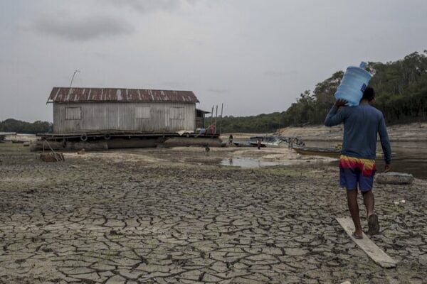 Global Warming Sparks Unprecedented Amazon Drought 🌳🔥 Global_Warming_Sparks_Unprecedented_Amazon_Drought___