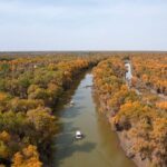 Golden_Desert_Poplars_Illuminate_Xinjiang_s_Autumn___