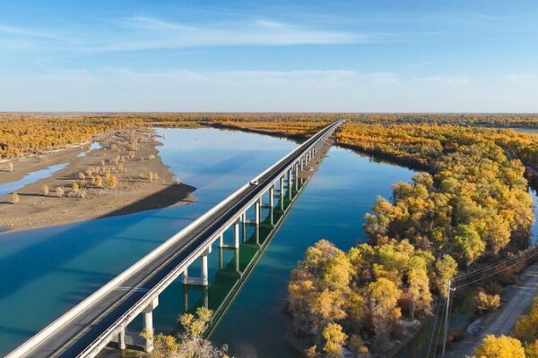 Golden Poplar Trees Transform Xinjiang’s Tarim River into Autumn Wonderland 🌟🍂 Golden_Poplar_Trees_Transform_Xinjiang_s_Tarim_River_into_Autumn_Wonderland___
