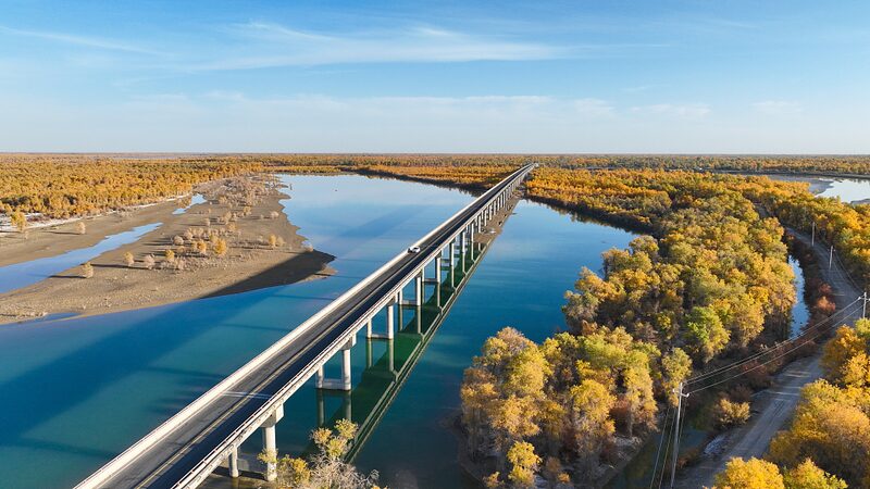 Golden_Poplar_Trees_Transform_Xinjiang_s_Tarim_River_into_Autumn_Wonderland___