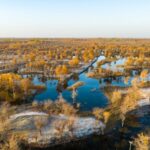 Golden_Poplars_Transform_Xinjiang_Desert_into_Autumn_Wonderland___ video poster