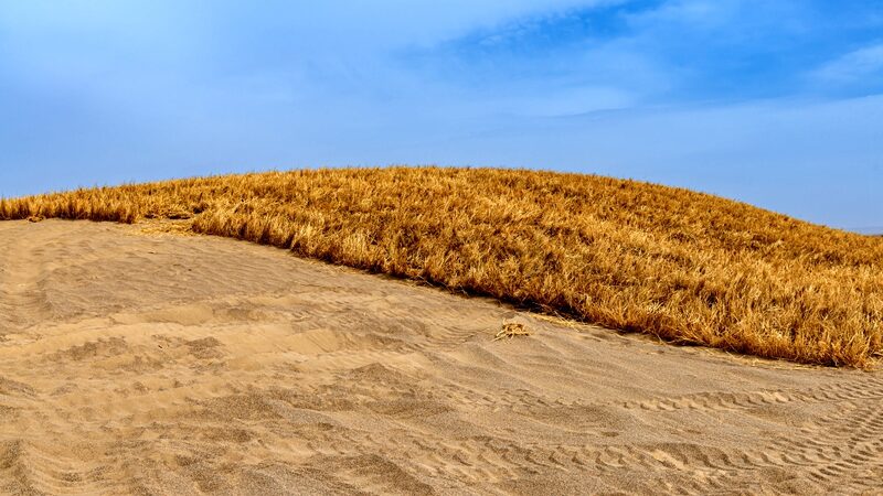 Grass_Grids_Combat_Desertification_Along_NW_China_Highway___