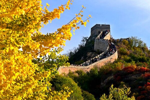 Great Wall Dazzles in Autumn Colors 🌄🍁 Great_Wall_Dazzles_in_Autumn_Colors___