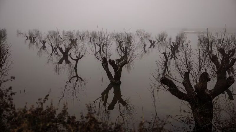 Greek Farmers Battle Lingering Floodwaters Months After Unprecedented Storm π§οΈπ Greek_Farmers_Battle_Lingering_Floodwaters_Months_After_Unprecedented_Storm____