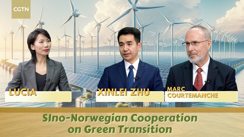 Green_Partnerships_Bloom__Sino_Norwegian_Collaboration_Sparks_Sustainable_Energy_Revolution___ video poster