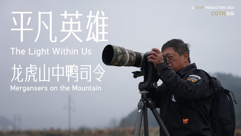 Guardian_of_the__Giant_Panda_of_Birds____ video poster
