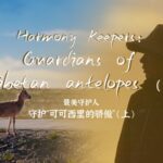 Guardians_of_Hoh_Xil__Protecting_Tibetan_Antelopes_Against_All_Odds___ video poster