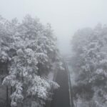 Guizhou_s_Tea_Mountain_Transforms_into_a_Magical_Silver_Wonderland_with_First_Snow____ video poster