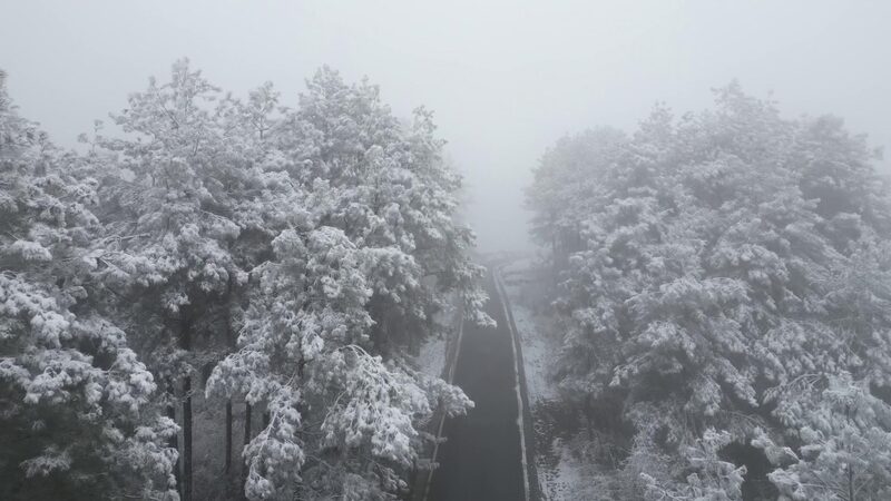 Guizhou_s_Tea_Mountain_Transforms_into_a_Magical_Silver_Wonderland_with_First_Snow_____poster - 🌍NewspaperAmigo – Your Global News Buddy 🗞️ Guizhou_s_Tea_Mountain_Transforms_into_a_Magical_Silver_Wonderland_with_First_Snow____ video poster