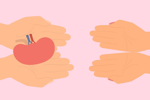 HIV+ Kidney Transplants Show Promise, Study Finds 🌟💉 HIV__Kidney_Transplants_Show_Promise__Study_Finds___
