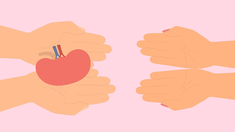 HIV__Kidney_Transplants_Show_Promise__Study_Finds___