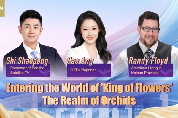 Hainan’s Orchid Paradise: Where Science Meets Nature 🌺🔬 Hainan_s_Orchid_Paradise__Where_Science_Meets_Nature___ video poster