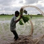 ___Half_of_Global_Food_Production_at_Risk_by_2050_Due_to_Water_Crisis__Report